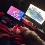 Mangekyoxx Profile Picture