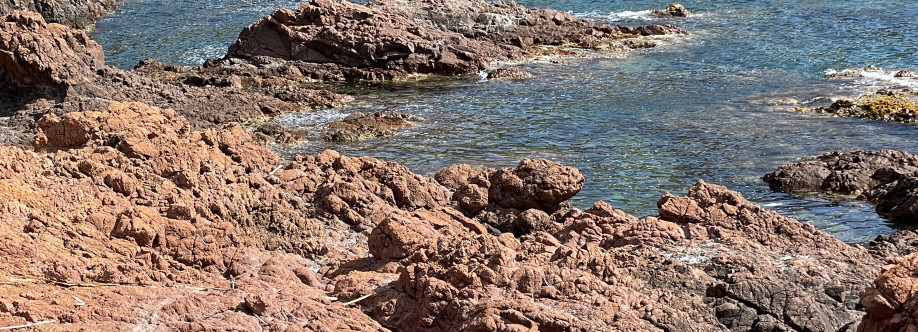 kokin83600 Cover Image