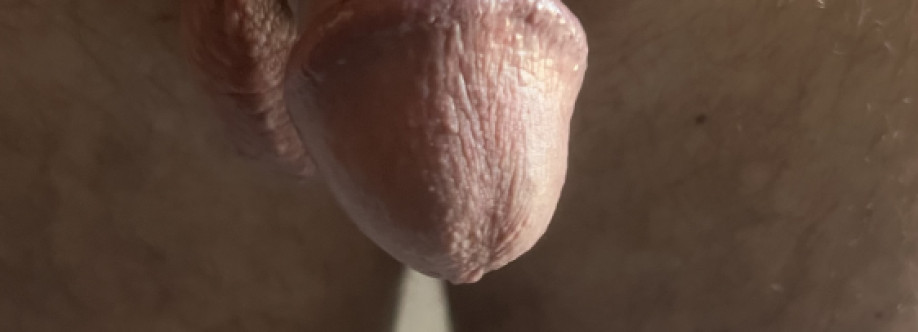 David1201 Cover Image