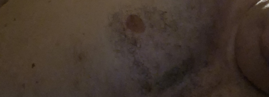 Patriste Cover Image