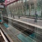 JAMA GRIZZLY Profile Picture